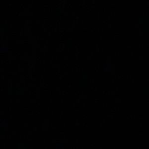 Meet your Posher, Maddie